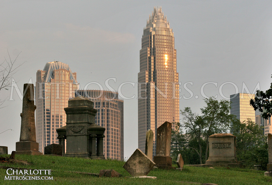 Charlotte Skyline