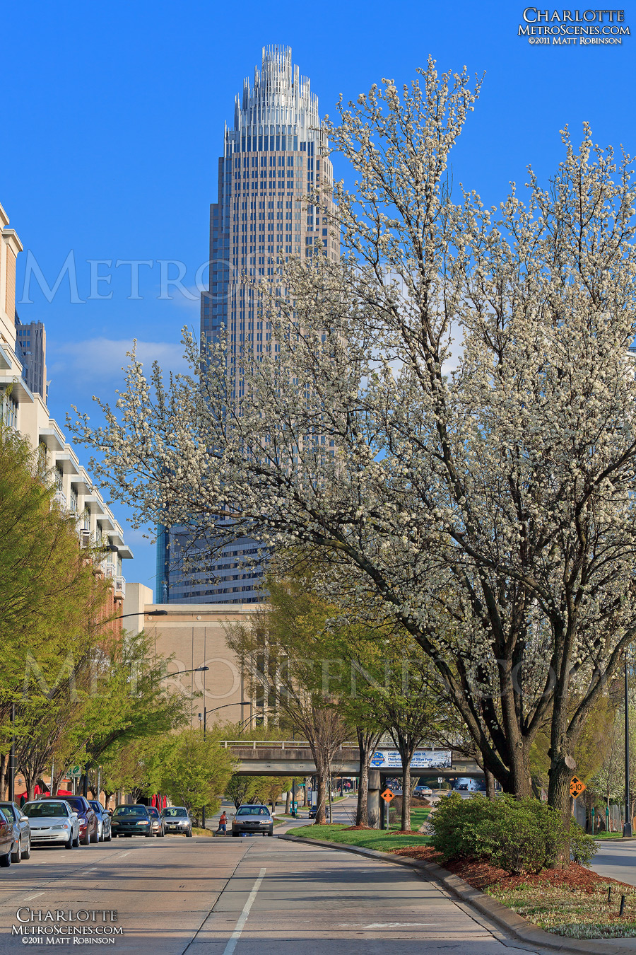 Spring in Charlotte