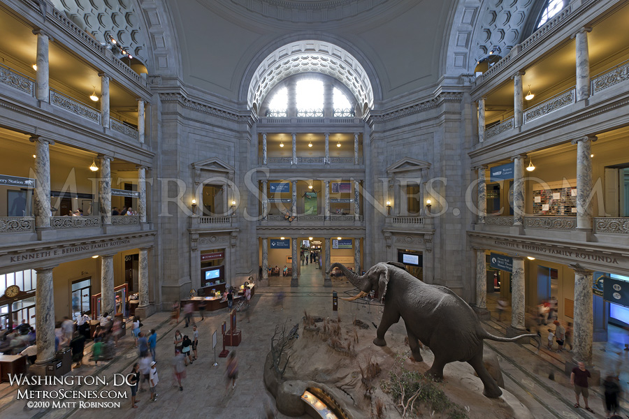 Smithsonian Institution National Museum of Natural History